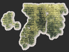 A Fragment of Enoch